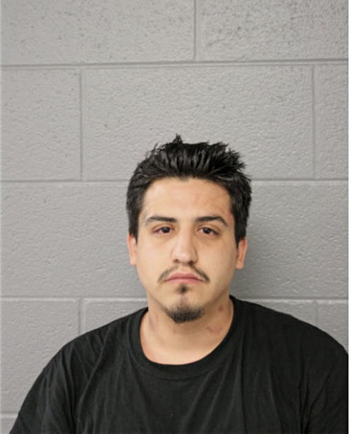 JESUS A DELGADO, Cook County, Illinois