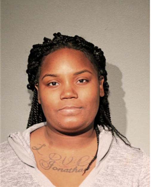 AMBER A FITZGERALD, Cook County, Illinois