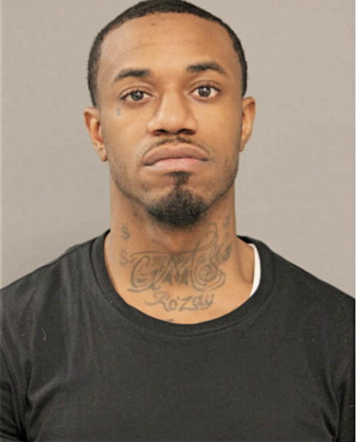 RICKY G HARRIS, Cook County, Illinois
