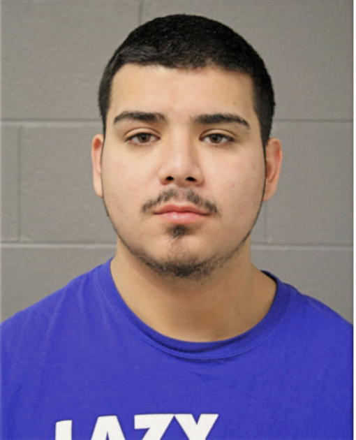 MARK A HERRERA, Cook County, Illinois