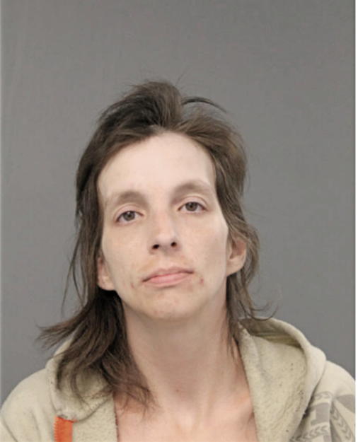 STEFFANY L HOLLAND, Cook County, Illinois