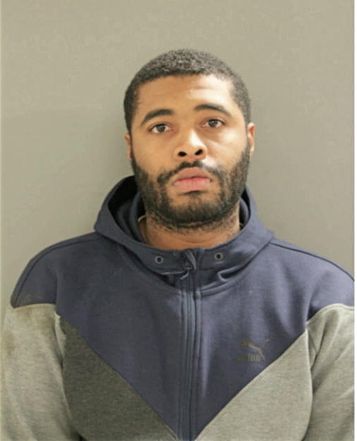 ERIK D JOHNSON, Cook County, Illinois