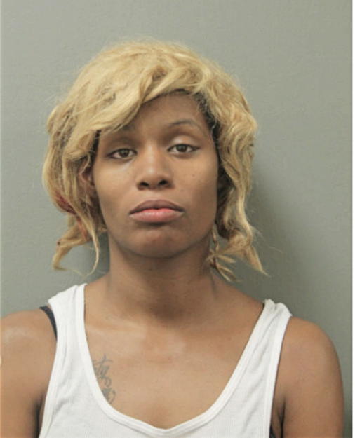 LAKECIA L JOHNSON ANDERSON, Cook County, Illinois