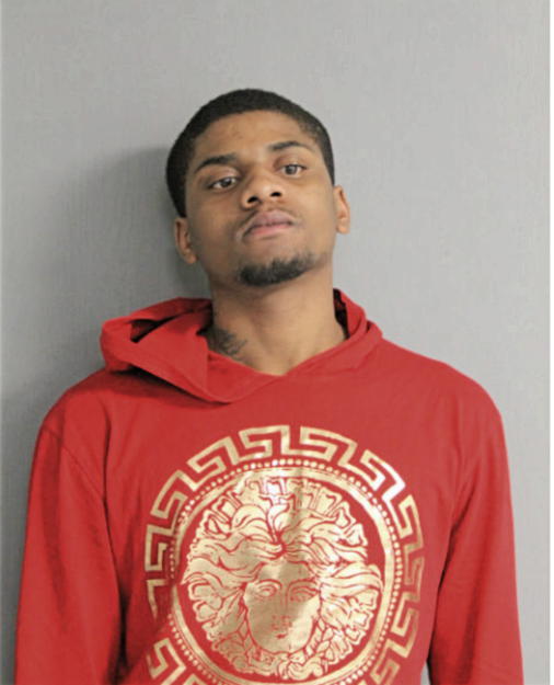 MARCELL J JOHNSON, Cook County, Illinois