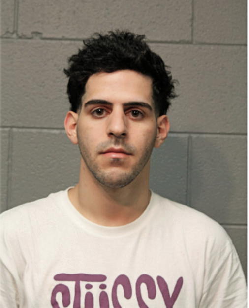 JOEL D MALDONADO, Cook County, Illinois