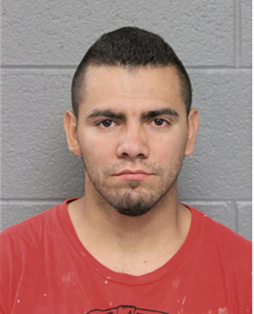 ANGEL M MARTINEZ-ALEGRA, Cook County, Illinois