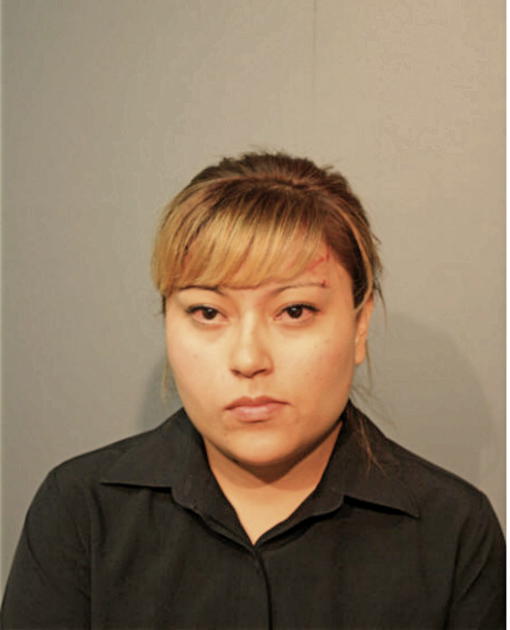 YANET A MARTINEZ, Cook County, Illinois