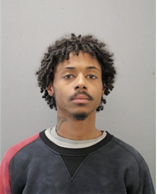 ANTON C MCGHEE, Cook County, Illinois