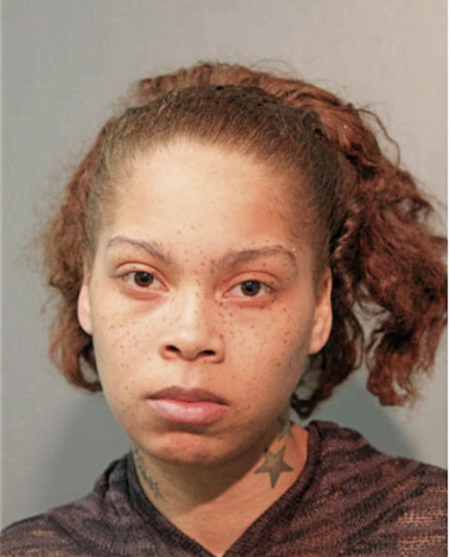 BRITNEY M MEADOWS, Cook County, Illinois