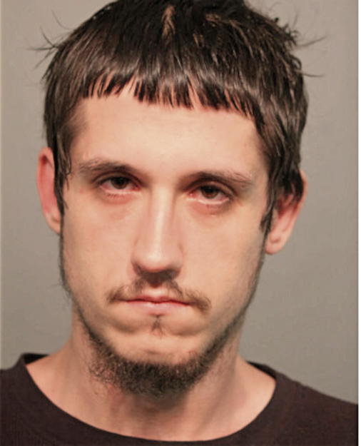 ROBERT A MIKKELSON, Cook County, Illinois