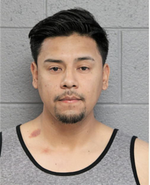 HECTOR M MORENO, Cook County, Illinois