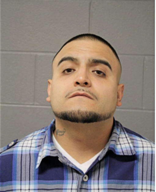 ANGELO PINA, Cook County, Illinois