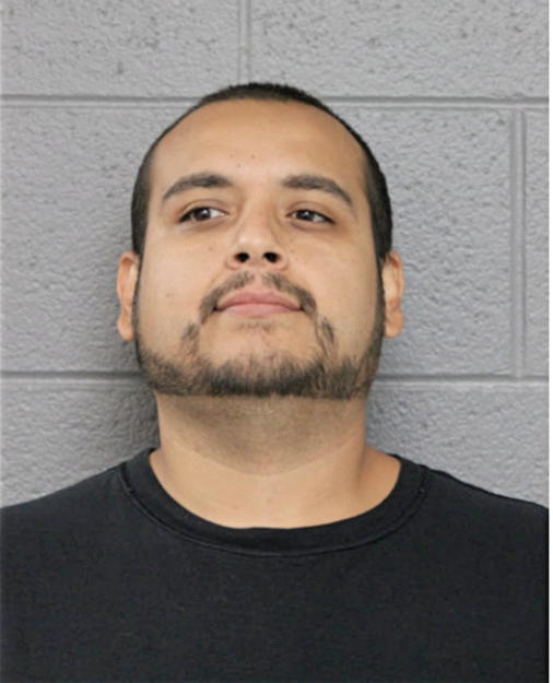 JOSE L PLASCENCIA, Cook County, Illinois