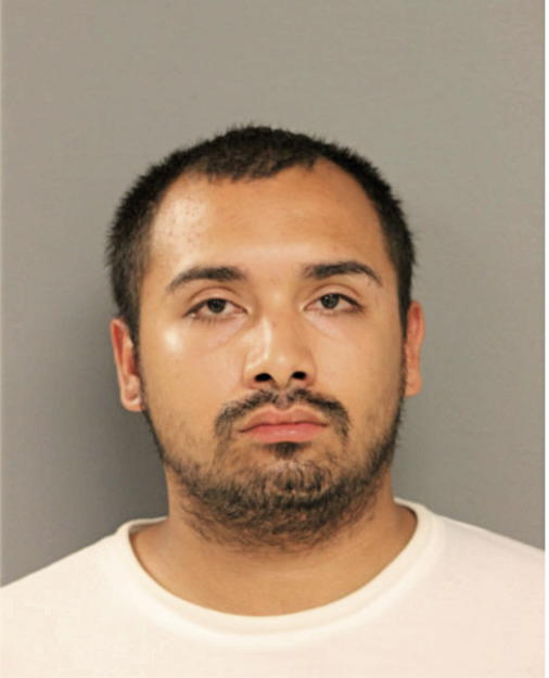 MICHAEL A PLATA, Cook County, Illinois
