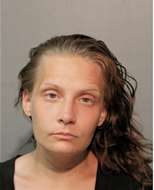 SHANNON N PULLIAM, Cook County, Illinois