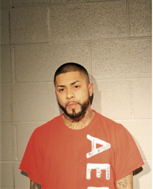 MIGUEL A RENTERIA, Cook County, Illinois