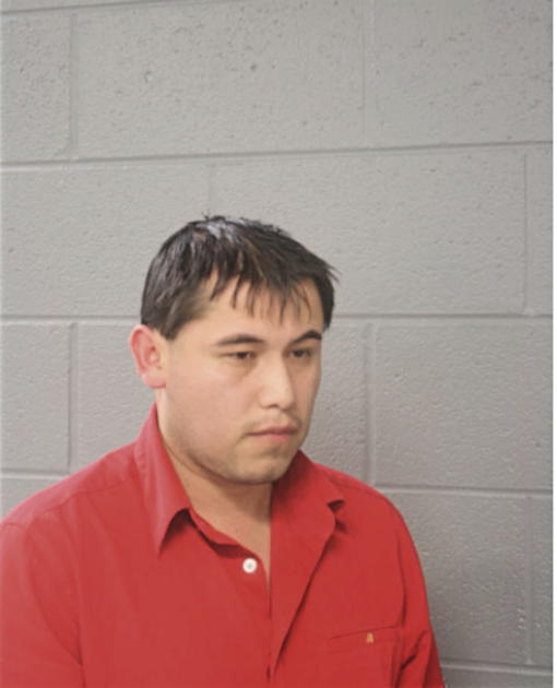 FRANCISCO REYES, Cook County, Illinois