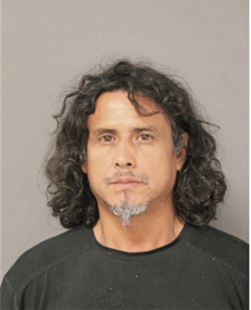 MILKO A REYES, Cook County, Illinois