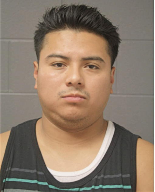 ARTURO TORRES, Cook County, Illinois