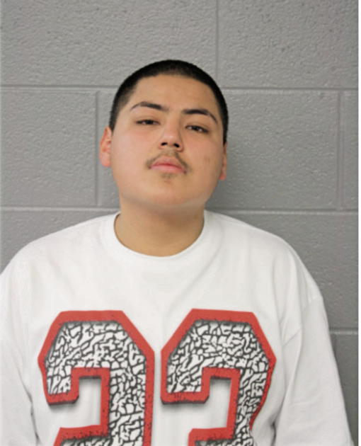 ERIC TORRES, Cook County, Illinois