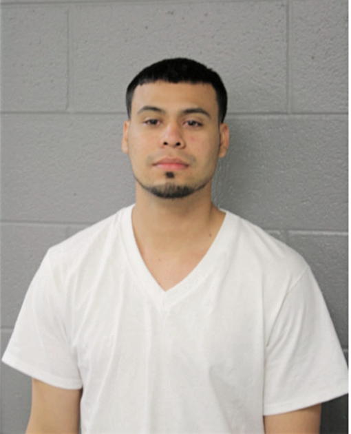 OSCAR A TRIGUEROS, Cook County, Illinois