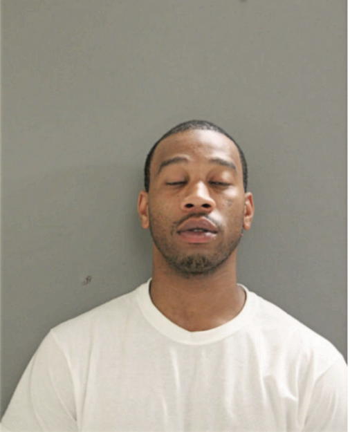 BRIAN D VINSON, Cook County, Illinois