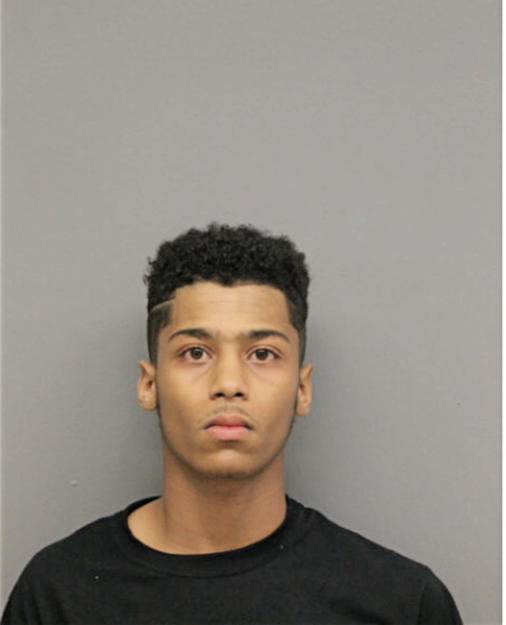 RAEVON Q WATKINS, Cook County, Illinois