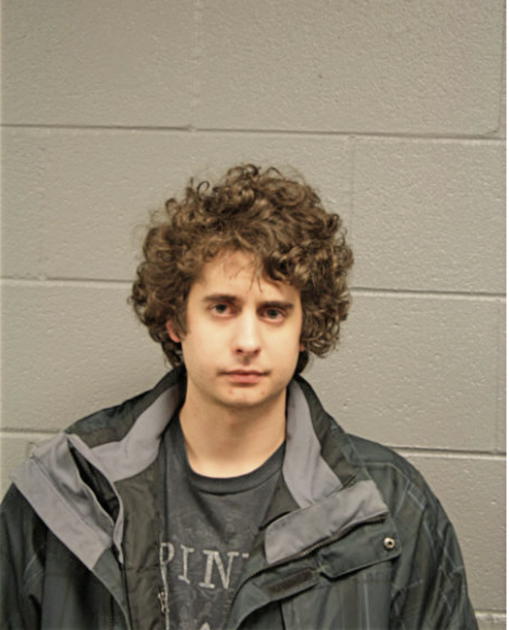DONALD E YOUNG, Cook County, Illinois