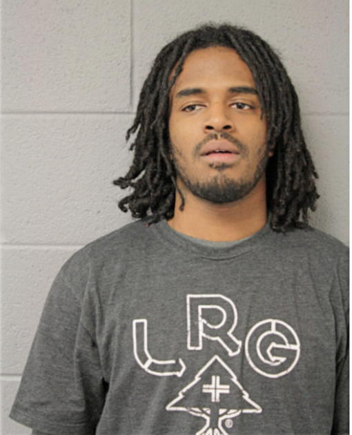 STEPHEN L ALEXANDER, Cook County, Illinois