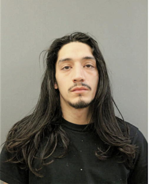 ANGEL L ALVAREZ, Cook County, Illinois