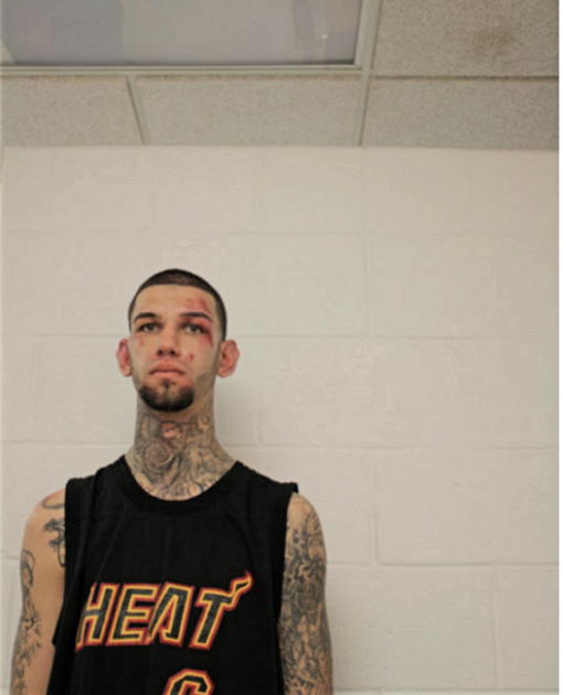JERMIN M BECANOVIC, Cook County, Illinois