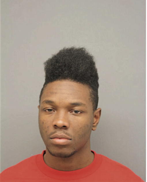 MATTHEW W BRIGHT, Cook County, Illinois