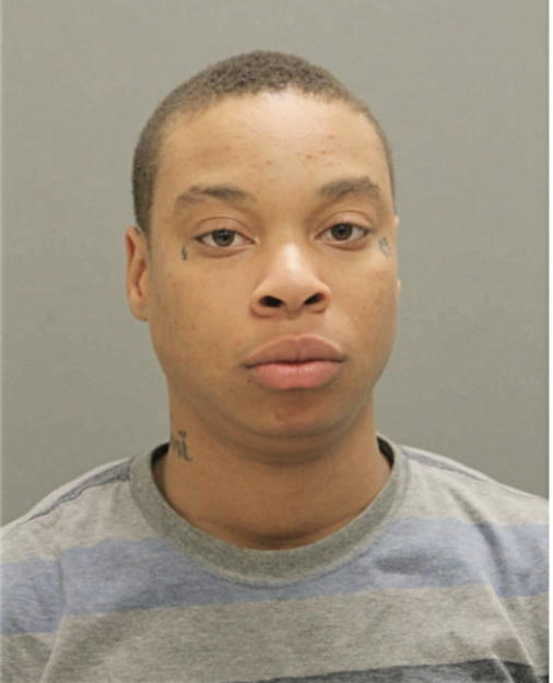 SARAH A BROWN, Cook County, Illinois