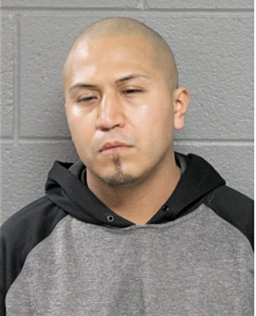 REYNALDO GOMEZ, Cook County, Illinois
