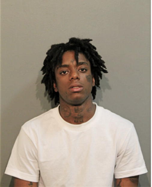 KEITH D HAYES, Cook County, Illinois