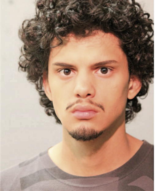 ALEX HERNANDEZ, Cook County, Illinois