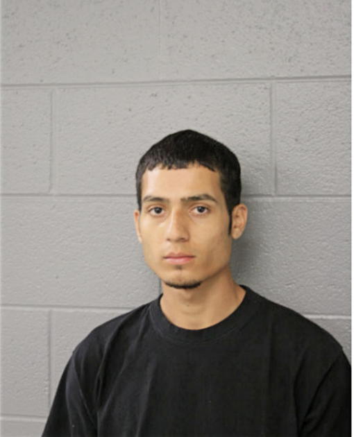 FROYLAN HERNANDEZ, Cook County, Illinois