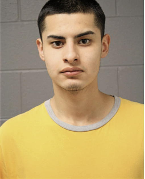 VICENTE HERRERA, Cook County, Illinois