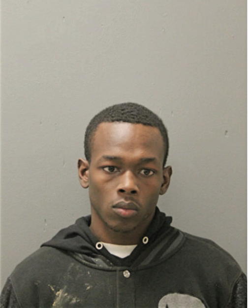 DAVID M JOHNSON, Cook County, Illinois
