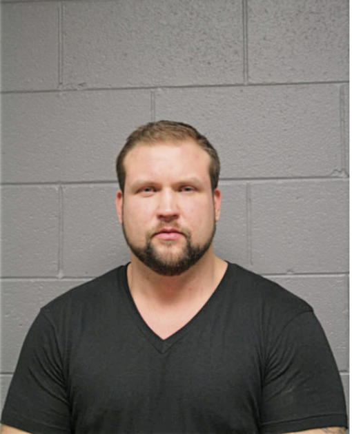 ADAM M LES, Cook County, Illinois