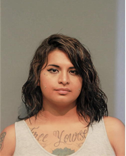 BRYAN F LOERA, Cook County, Illinois