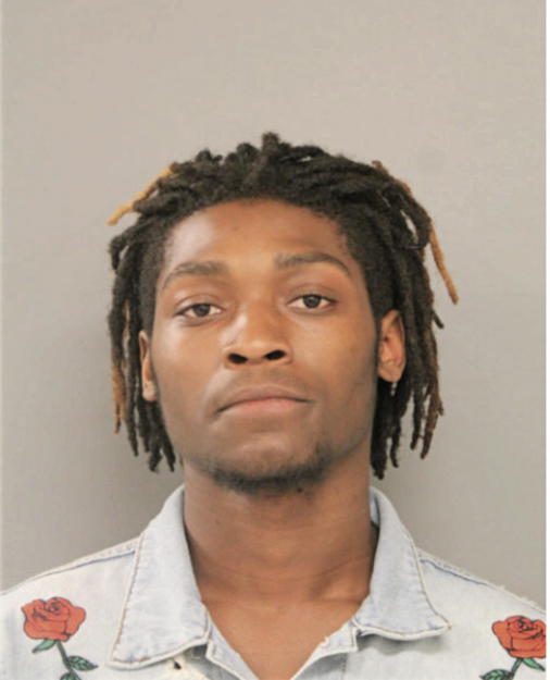 KENYON LOUIS, Cook County, Illinois