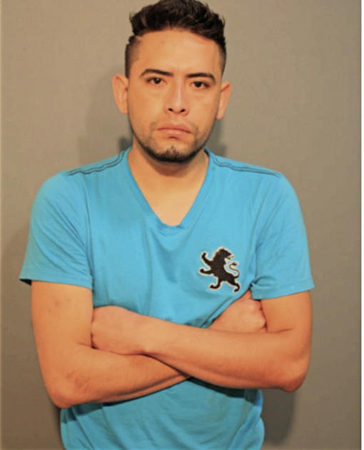RICARDO MARTINEZ-CASTRO, Cook County, Illinois