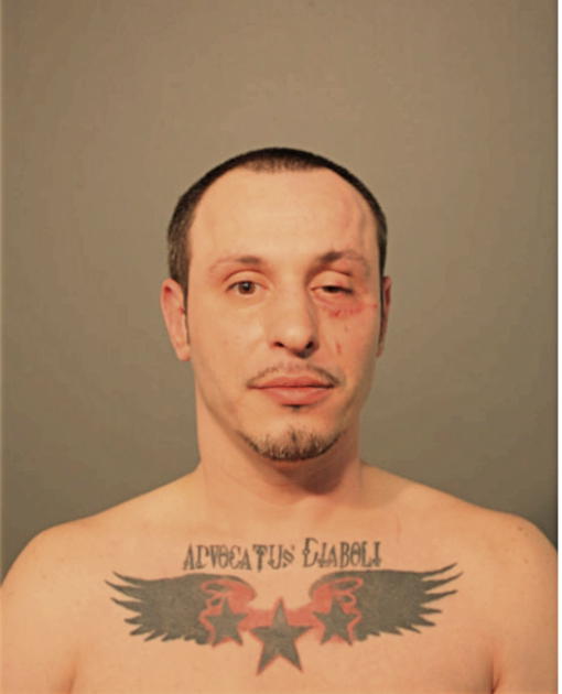 DOMINICK A MEDINA, Cook County, Illinois