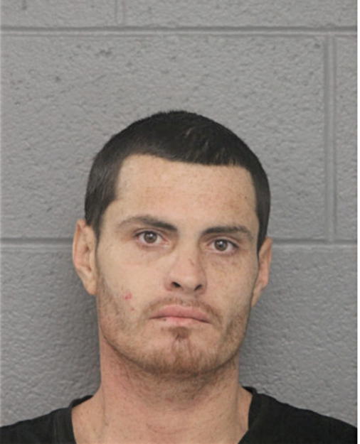 BRANDON S MUNOZ, Cook County, Illinois
