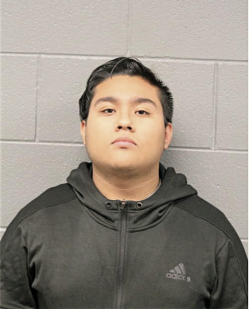 ERIC NAVARRO, Cook County, Illinois