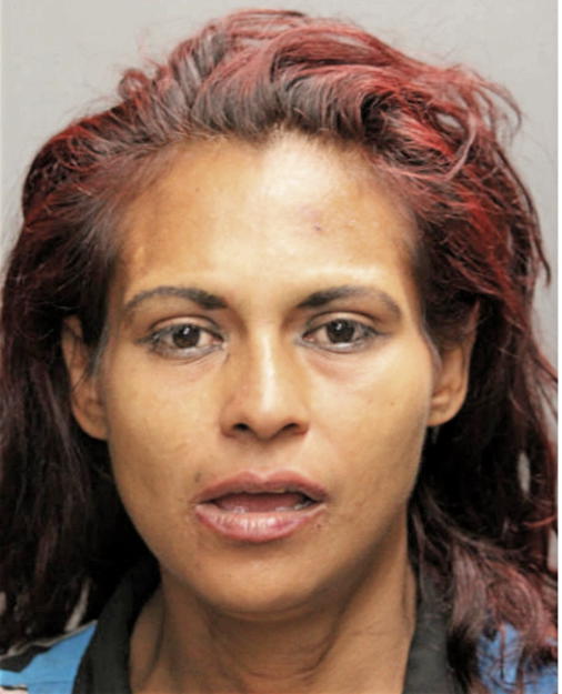 MANIS L NUNEZ, Cook County, Illinois