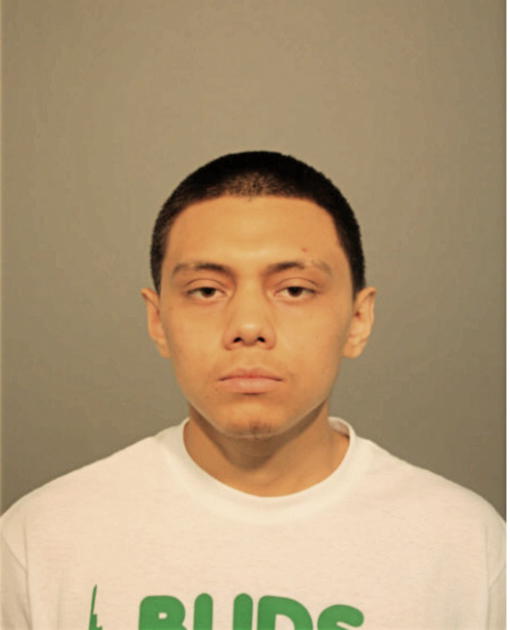 EDISSON ORTEGA, Cook County, Illinois