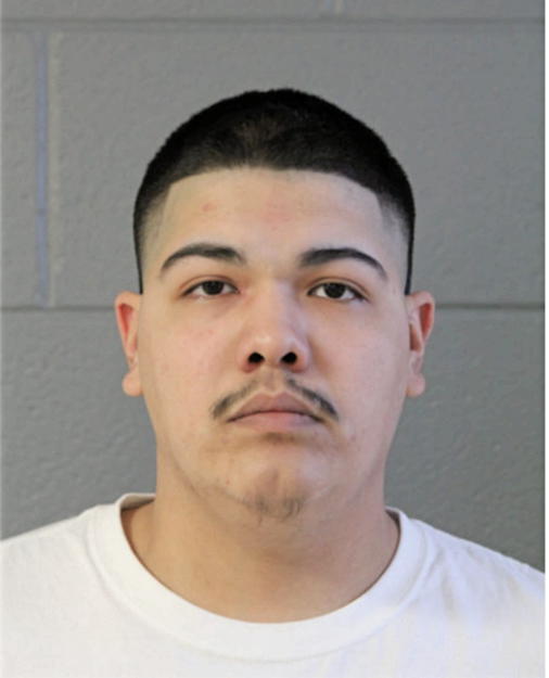 OSCAR REA, Cook County, Illinois