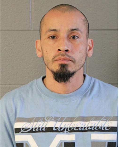 ANDRE SALINAS, Cook County, Illinois